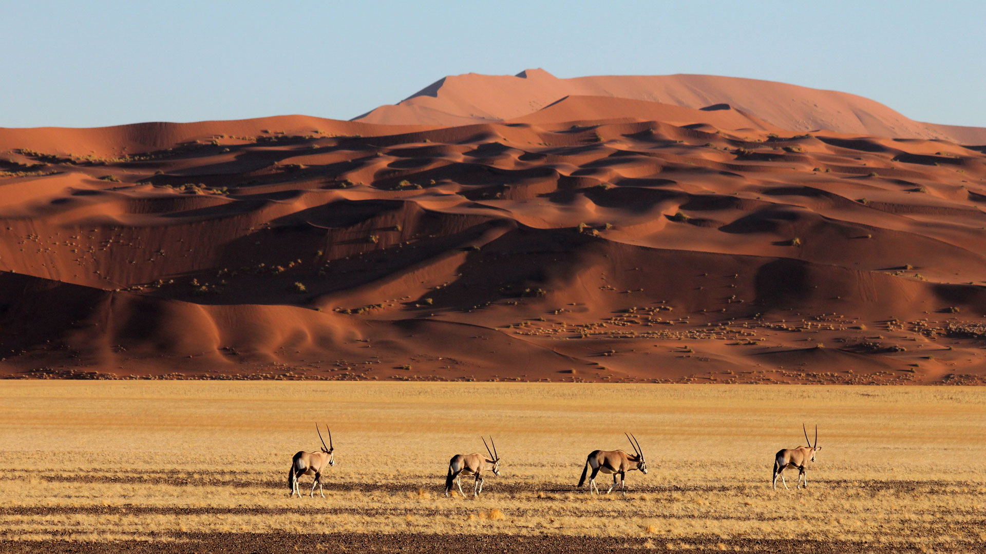 Sossusvlei / Namib Desert