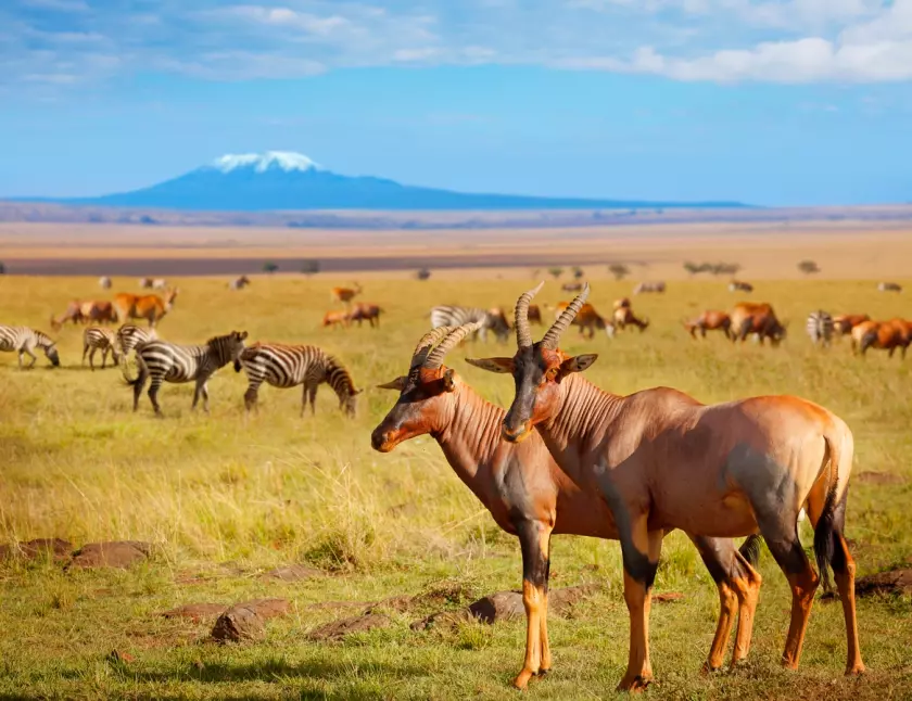 Amboseni National Park