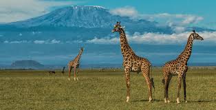 Amboseni National Park